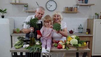 blogueiro menina fazer selfie em telefone com Senior casal avós às cozinha com legumes video