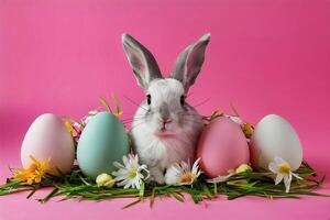 A rabbit is sitting next to her eggs on a pink background, surrounded by flowers photo