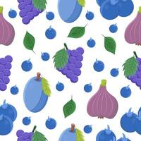 Seamless pattern or background with fruits - grapes, plums, figs, blueberries on a white background. vector