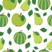 Seamless pattern or background with fruits - pear, watermelon, apple on a white background. vector