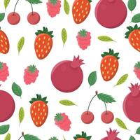 Seamless pattern or background with fruits - strawberries, raspberries, pomegranates, cherries on a white background. vector