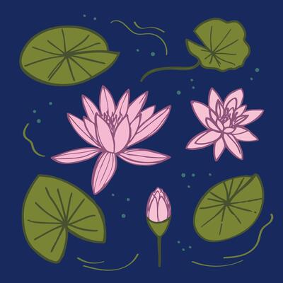 Swamp with water lilies. Hand drawn green Lily pads pink Lotus flowers on dark background. Flora with aquatic plants, botanical texture, overgrown pond, wetlands.