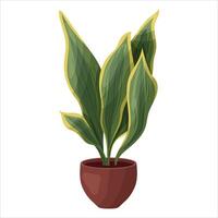 illustration of a potted houseplant with leaves. vector