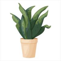 illustration of a potted houseplant with leaves. vector