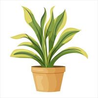 illustration of a potted houseplant with leaves. vector