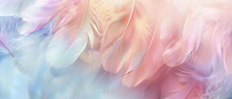 Colorful pastel background with soft feathers in gentle colors, dreamy and ethereal, blurred background for copy space. Abstract nature concept. photo