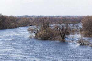 The spring river turns to the right. Bare trees stand in blue water against a blue sky. View from above. For text. Background. For postcard and banner. photo