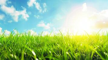 Green grass with sunlight. Beautiful summer background, copy space. Ground level view. photo