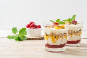 homemade mango and raspberry with yogurt and granola photo