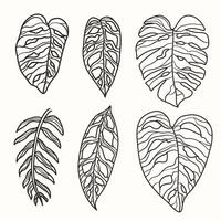 monstera hojas en línea arte, exótico botánico follaje adecuado para fondo de pantalla ilustraciones, huellas dactilares y invitaciones vector