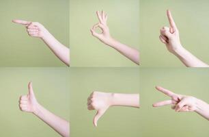 Collection of different hand shapes photo