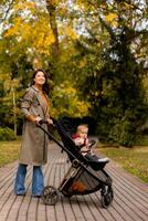 Young woman with cute baby girl in baby stroller at the autumn park photo