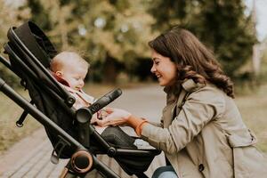 Young woman with cute baby girl in baby stroller at the autumn park photo