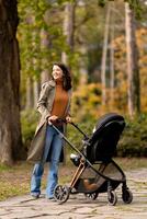 joven mujer con linda bebé niña en bebé paseante a el otoño parque foto