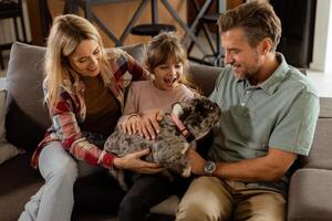 Family bonding time with playful french bulldog pup in cozy living room photo