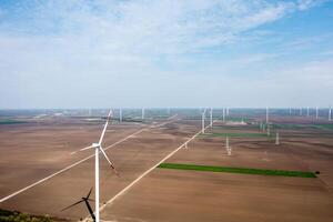 Vast Wind Farm Stretching Across Fertile Plains at the Break of Dawn photo