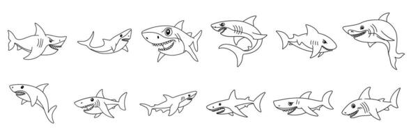 Collection of sharks isolated. Hand drawn art. vector