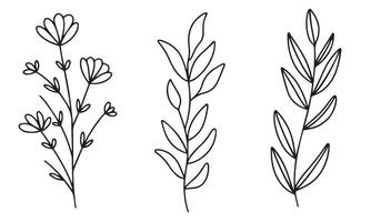 Collection of flowers isolated. Hand drawn art. vector