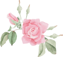 acuarela floreciente rosado Rosa flor ramo de flores guirnalda marco png