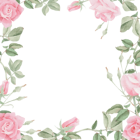 watercolor blooming pink rose flower bouquet wreath frame png