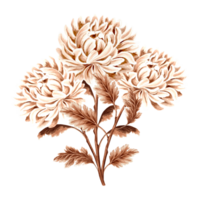 crisantemo flor ramo de flores acuarela, monocromo, aislado . mano dibujado botánico ilustración marrón color. Clásico floral dibujo modelo para fondo de pantalla, textil, álbum de recortes png