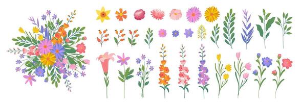 Set isolated hand drawn spring or summer multicolored flowers, leaves and berries. Flat herbal illustration for create designs of cards, posters, invitations, patterns, advertising, cover. vector