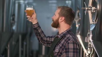 Successful young businessman brewer with a beard checks the quality of freshly brewed beer from a beer tank while standing in a beer production room. video