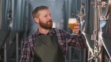 Portrait. A bearded male brewer checks the color of freshly brewed beer from a beer tank while standing in a beer factory. video