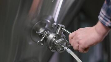 A male brewer opens a tap for dispensing beer from a beer tank to a keg. Close-up 4K video