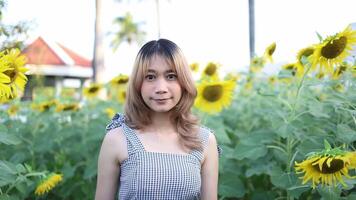Aziatisch jong vrouw gelukkig in een mooi veld- van zonnebloemen Bij ochtend. zonnebloem veld. langzaam beweging video