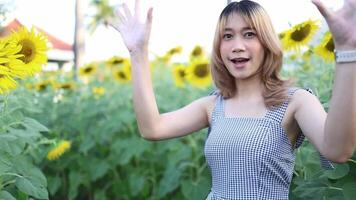 ásia jovem mulher feliz dentro uma lindo campo do girassóis às manhã. girassol campo. lento movimento video