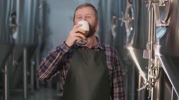 Portrait. Adult Cheerful male brewer tastes freshly brewed beer to taste leaving foam on his mustache while standing in a brewery. video