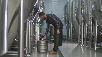 une Masculin brasseur avec une barbe connecte une tonnelet à une Bière réservoir et remplit il avec bière. 4k video