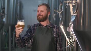ung manlig bryggare med en skägg utvärderar nyligen bryggt öl från en öl tank medan stående i en öl fabrik video