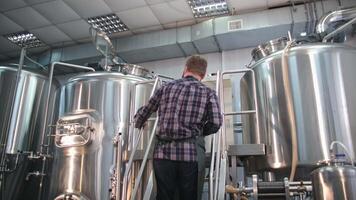 Adult Male brewer in an apron with a beard looks inside the beer tank and controls the process of brewing video