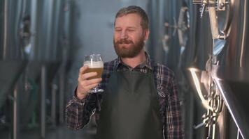 a male brewer with a beard tastes freshly brewed beer from a beer tank while standing in a beer factory. 4K video