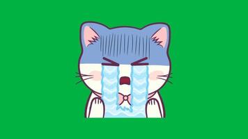 Animated Twitch stream emote featuring a cute white kawaii cat waving and crying with river of tears, funny emote for streamers isolated on green screen video