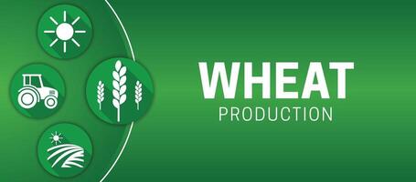 Green Wheat Production Illustration Background vector