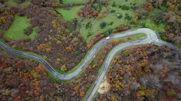 devanado la carretera en otoño bosque video