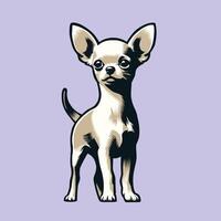 The Chihuahua dog is standing illustration vector