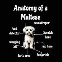 Anatomy of a Maltese T-shirt design vector