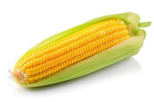 Fresh corn on the cob isolated on white background. Healthy food photo