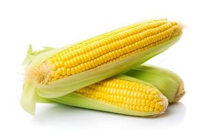 Fresh corn on the cob isolated on white background. Healthy food photo