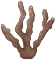 alcyonacea koraal rif png