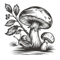 mushroom in the forest with snail hand drawn sketch style vector