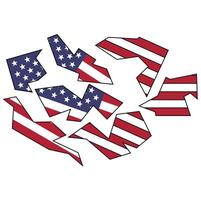 American Flag Design vector