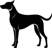 Black and white silhouette of a Hunting dog standing vector