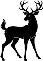 A black silhouette of a whitetail deer standing on a white background vector