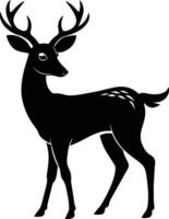 A black silhouette of a whitetail deer standing on a white background vector