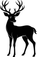 A black silhouette of a whitetail deer standing on a white background vector